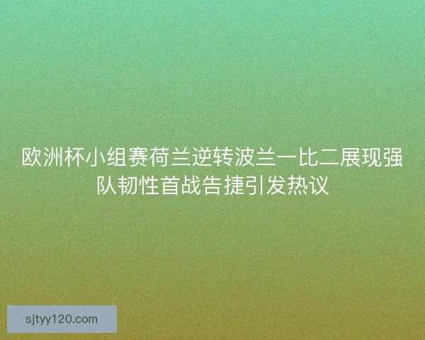 欧洲杯小组赛荷兰逆转波兰一比二展现强队韧性首战告捷引发热议