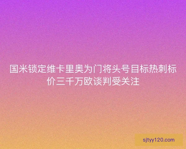 国米锁定维卡里奥为门将头号目标热刺标价三千万欧谈判受关注